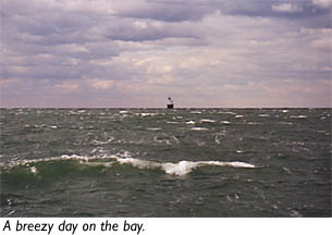 Breezy day on the Bay