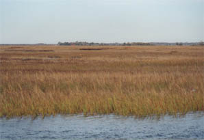 low country, SC