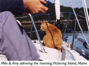 Milo at Pickering Island, ME